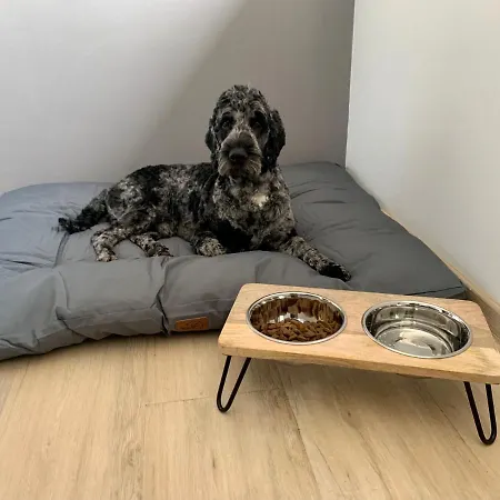 Hotel Schweier Krug *