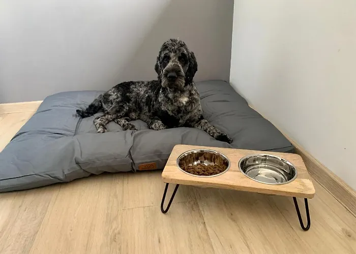 Otel Schweier Krug *